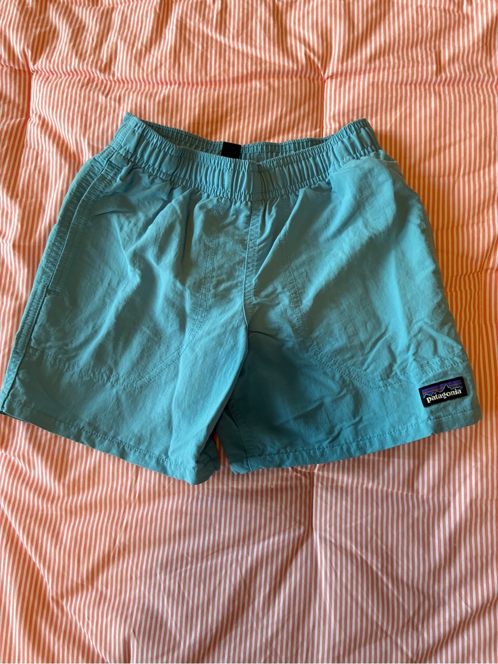 Patagonia Baggies (Boys) Shorts